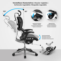 Bürostuhl Norfolk Ergonomic - grau