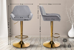 2er Set Barhocker Braga Gold Samt - grau