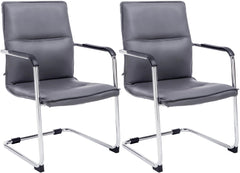 2er Set Besucherstuhl Seattle - grau