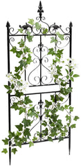 2er Set Rankgitter Myrte - anthrazit by Dropshipping-Europe – Rosenb�gen