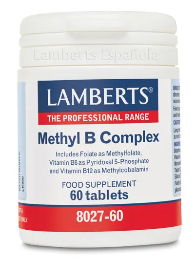 Lamberts Methyl B Complex 60 - InfinityMarket