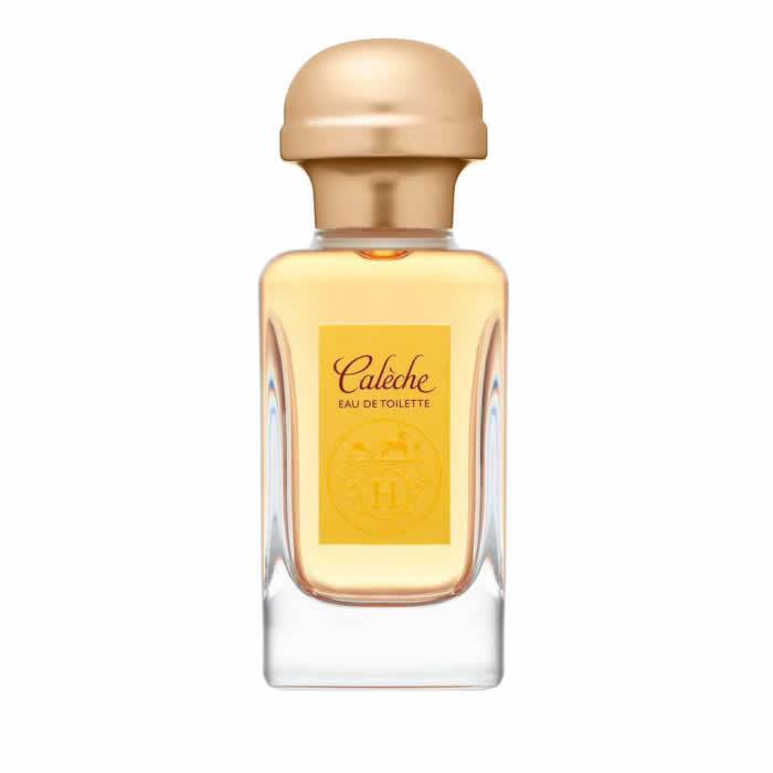 Hermès Calèche Eau De Toilette Spray 100ml - InfinityMarket -