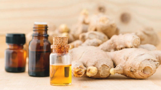 Benefici dell'olio di zenzero per la pelle - InfinityMarket