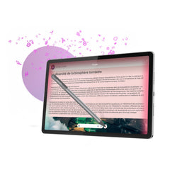65562 - LENOVO ZAFR0982SE