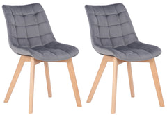 2er Set Esszimmerstühle Passaic Samt - grau by Dropshipping-Europe – Esszimmerstühle