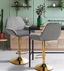 2er Set Barhocker Braga Gold Samt - grau
