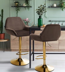 2er Set Barhocker Braga Gold Samt - braun
