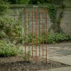 Rankgitter Elisa - antik braun