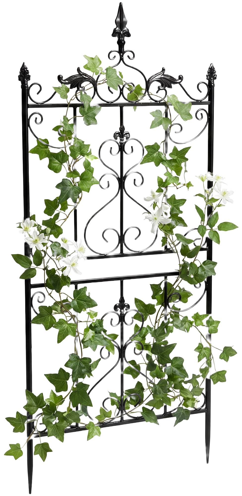 2er Set Rankgitter Myrte - anthrazit by Dropshipping-Europe – Rosenb�gen