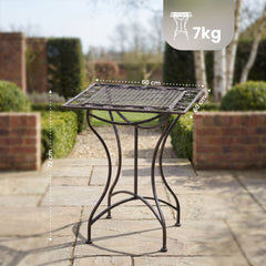 Tisch Asina - bronze