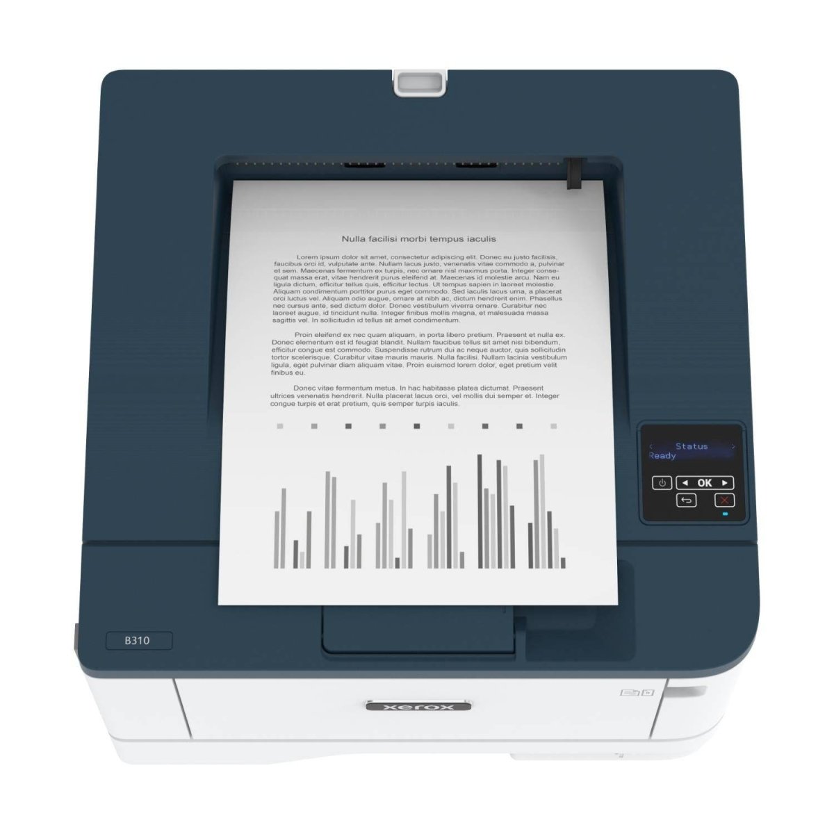 29936 - XEROX B310V_DNI - InfinityMarket - cometa - 