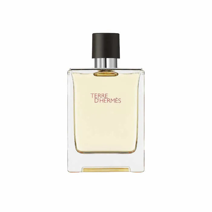 Hermes Terre D'Hermes Eau De Toilette Spray 100ml