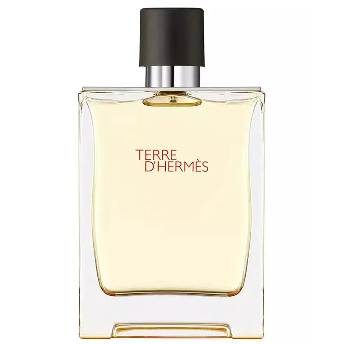 Terre D'hermes Eau De Toilette Spray 200ml by HERMÈS – 14544