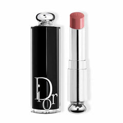 Dior Addict Shine Lipstick 422 Rose Des Vents