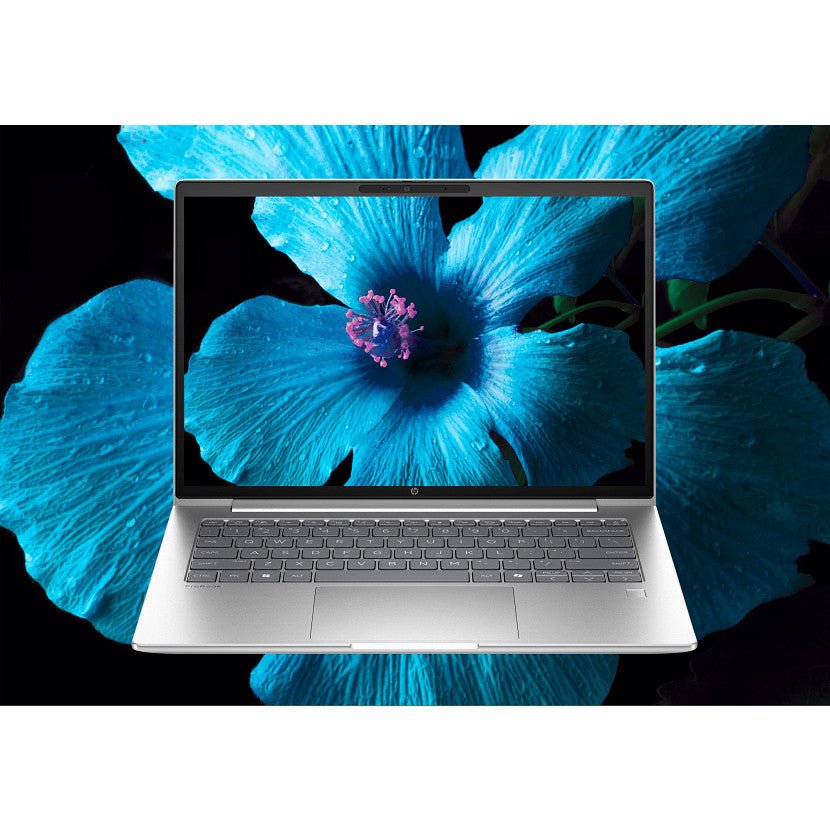 53173 - HP B39WWAT - InfinityMarket - cometa - 