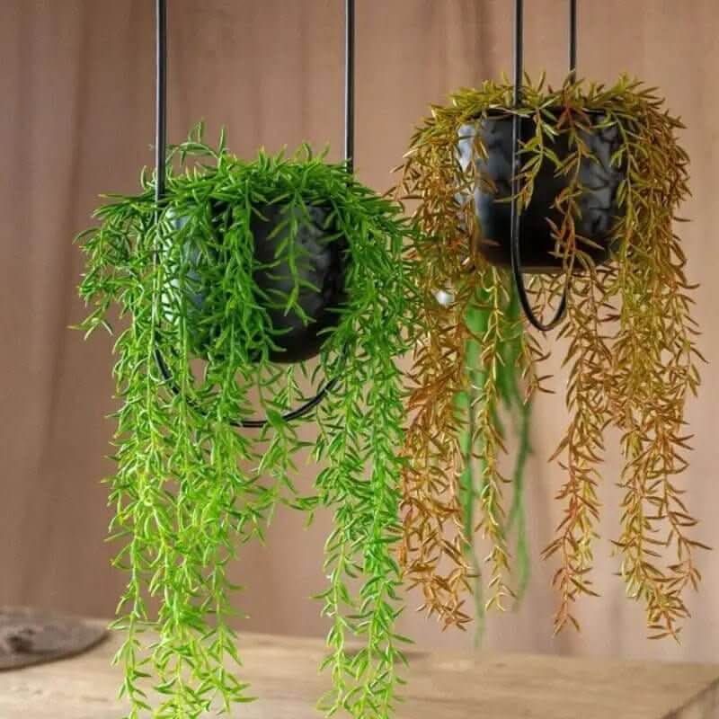 Creative Hanging Indoor Planter - InfinityMarket - Decorative vases - Garden - hanging