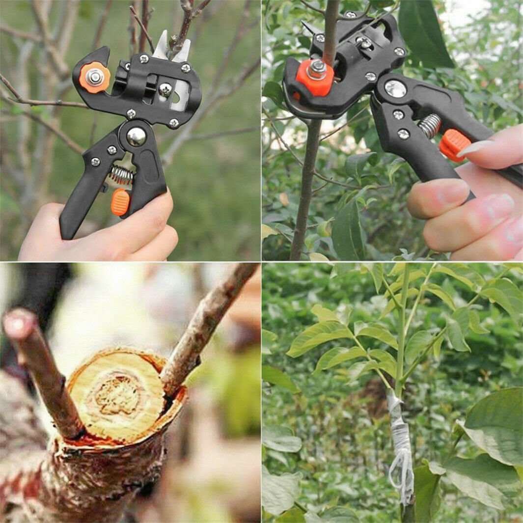 Garden Grafting Pruner Set: Shears, Scissors & Tape for Fruit Trees - InfinityMarket - Garden - Grafting - Kit