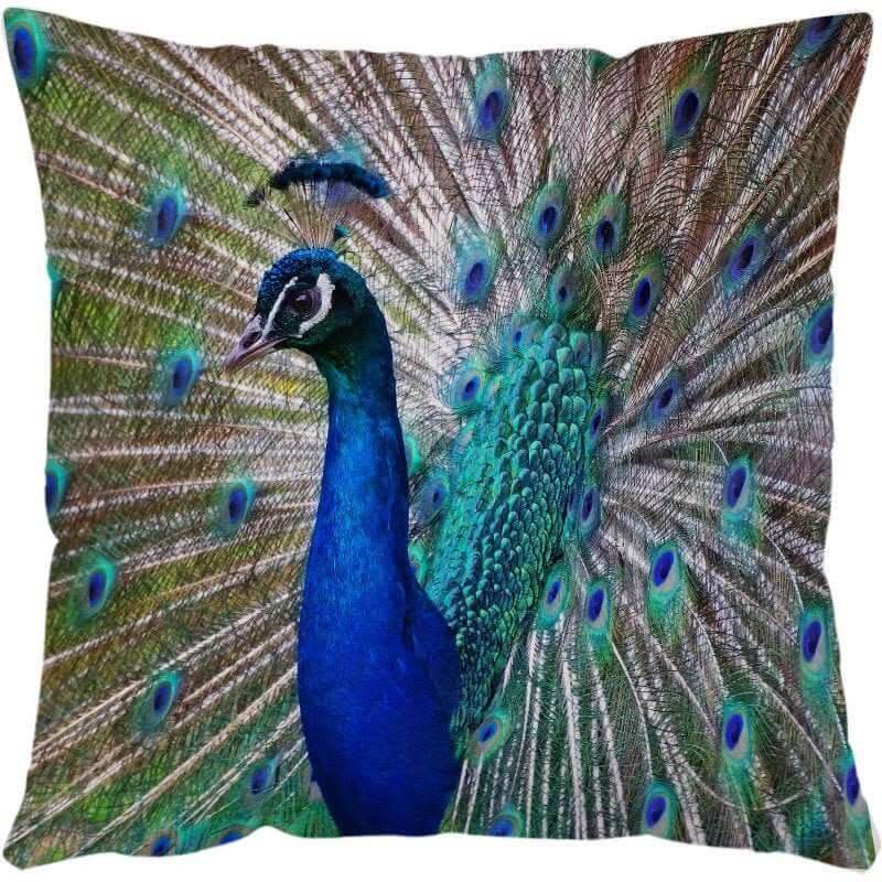 Sea Turtle Printed Cushion Covers for Sofa & Chair Decor - InfinityMarket - Pillows - Sofa - Sofa Cushion Covers